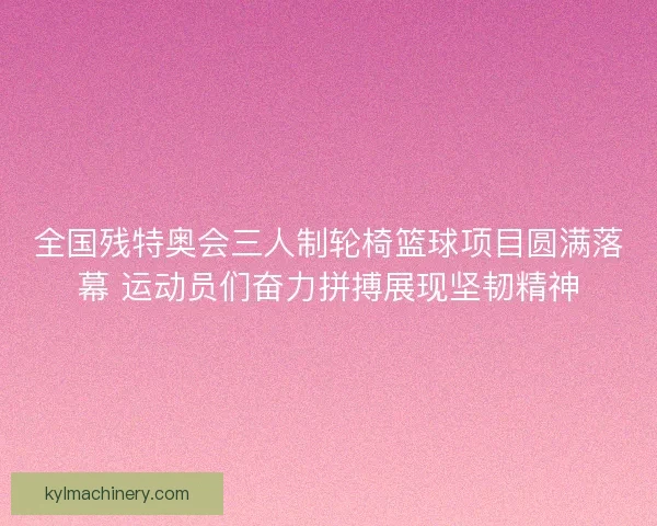 全国残特奥会三人制轮椅篮球项目圆满落幕 运动员们奋力拼搏展现坚韧精神